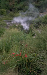 smoke
